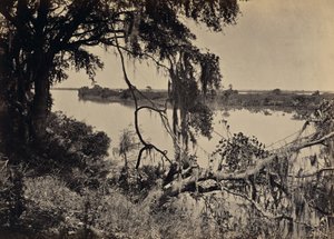 [Río Savannah, cerca de Savannah, Georgia] de George N. Barnard