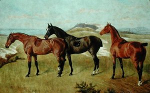 Tres caballos: Whissendine, Swallow y Tiptop