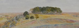 Uno de los Wittenham Clumps o Sinodun Hills, Berkshire, c.1870-90 (acuarela) de George Price Boyce