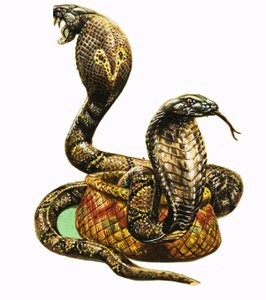 Rey Cobras de George R. Radcliffe