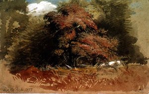 Parque Knole de George Richmond