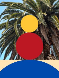 Bel-Air, siglo XXI (ilustración)