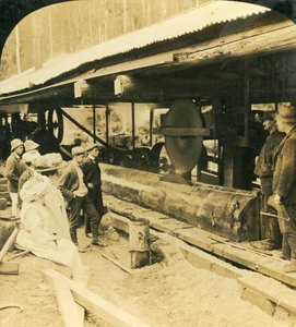La industria maderera, Warburton, Victoria, Australia, 1909 de George Rose