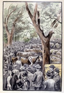 La multitud ya abarrotaba el lugar de la competencia (página 259) en "Testamento de un excéntrico" por Jules Verne