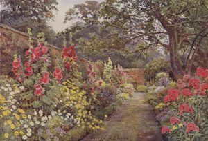 Blyborough, malvarrosas de George Samuel Elgood