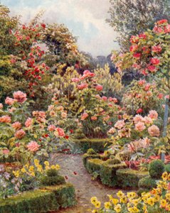 Por todas partes hay rosas, rosas" (litografía en color)