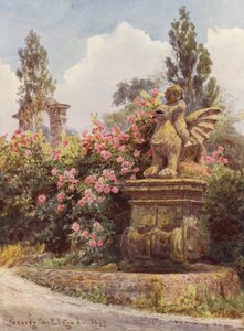 Jardines de Italia: Rosas de China, Villa Imperiali (litografía en color) de George Samuel Elgood