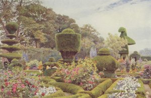Levens, rosas y claveles de George Samuel Elgood