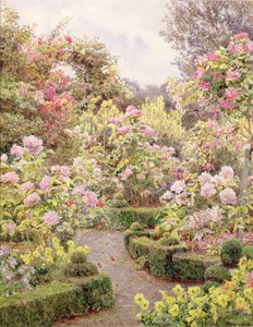 Raundscliffe - Por todas partes hay rosas de George Samuel Elgood