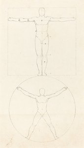 Círculo y Cuadrado de la Figura Humana