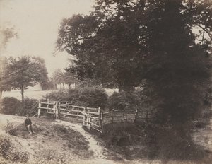 Green Meadows de George Shadbolt