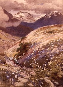 Flores alpinas de George Soper