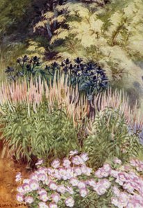 Veronica spicata rosea, con Eryngiums y Violas de George Soper