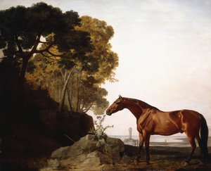 Un árabe bayo en un paisaje costero, 1779 de George Stubbs