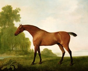Un pura sangre bayo en un paisaje de George Stubbs