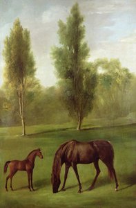 Una yegua castaña y su potro en un paisaje boscoso, c.1761-63 de George Stubbs