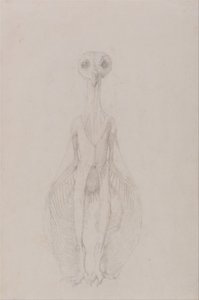 Exposición anatómica comparativa de la estructura del cuerpo humano con la del tigre y la del ave común: Búho de pie, vista anterior de George Stubbs