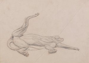 Exposición anatómica comparativa de la estructura del cuerpo humano con la de un tigre y un ave común: Tigre, yacente, visto ventralmente de George Stubbs