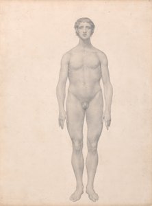 Exposición anatómica comparativa de la estructura del cuerpo humano con la de un tigre y un ave común:  Figura humana, vista anterior, sin diseccionar (estudio terminado para el cuadro VI) de George Stubbs
