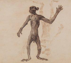 Exposición anatómica comparativa de la estructura del cuerpo humano con la del tigre y la del ave común:  Mono de pie, vista anterior de George Stubbs