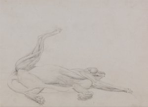 Exposición anatómica comparativa de la estructura del cuerpo humano con la de un tigre y un ave común:  Cuerpo de tigre, yacente, visto ventralmente de George Stubbs
