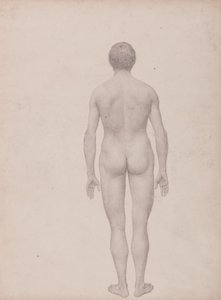 Exposición Anatómica Comparativa de la Estructura del Cuerpo Humano con la de un Tigre y un Ave Común: Figura humana, vista posterior, sin diseccionar (estudio terminado para el cuadro VII) de George Stubbs