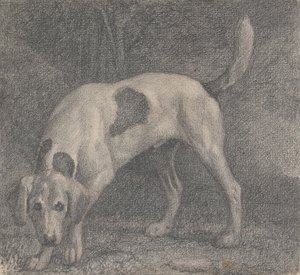 Un Foxhound en la mira de George Stubbs