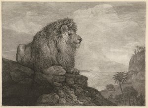 A Lion [Un león descansando sobre una roca] de George Stubbs