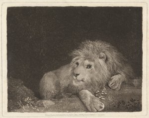 Un León [Un León yacente] de George Stubbs
