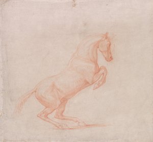 Un caballo rampante, mirando a la derecha de George Stubbs
