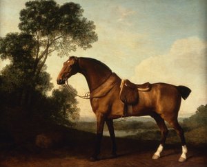 Un cazador de bahía ensillado de George Stubbs