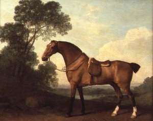 Un Cazador Bay Ensillado en un Paisaje con un Lago al Fondo de George Stubbs