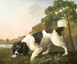 Un Spaniel en un Paisaje, 1771