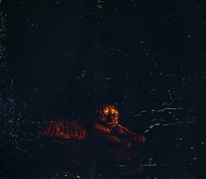 Un tigre