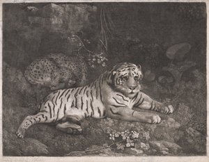 Un tigre y un leopardo dormido de George Stubbs