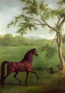 Un Semental Árabe bajo un Árbol, c.1761-63 de George Stubbs