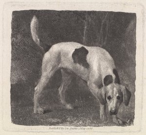 Perro [Un Foxhound en el Olfato] de George Stubbs
