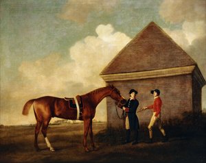 "Eclipse", un caballo de carreras castaño oscuro sostenido por un mozo de cuadra, con un jockey, posiblemente Jack Oakley, junto a la casa de frotamiento en Newmarket de George Stubbs