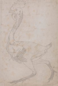Cuerpo de ave, vista lateral (probablemente preparado para transferirlo a la plancha para grabar la figura clave de la Tabla X) de George Stubbs