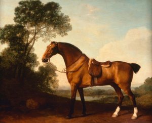 Un cazador bay ensillado de George Stubbs