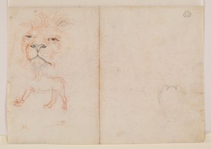 Cabeza de un león, verso, siglo XVIII o XIX de George Stubbs