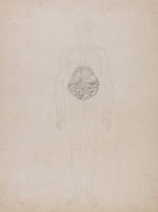 Figura humana, vista anterior (dibujo esquemático) de George Stubbs