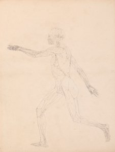 Figura humana, vista lateral (Para la figura clave de la Tabla XIII) de George Stubbs