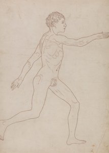 Figura humana, vista lateral (Esquema del estudio en el reverso de la Tabla VIII)