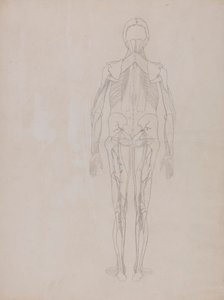 Figura humana, vista posterior (esbozo de la figura clave de una plancha inédita)