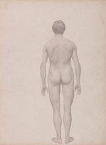 Figura humana, vista posterior, sin diseccionar (estudio terminado para el cuadro VII) de George Stubbs