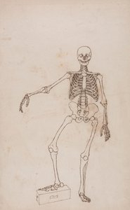Esqueleto humano, vista anterior de George Stubbs