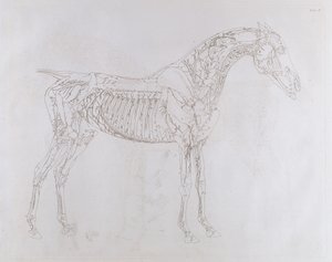Ilustración de 
