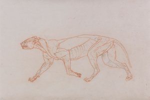 Cuerpo de leopardo, vista lateral de George Stubbs