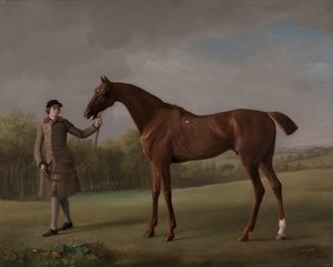 Lustre, Sostenido por un Mozo de George Stubbs